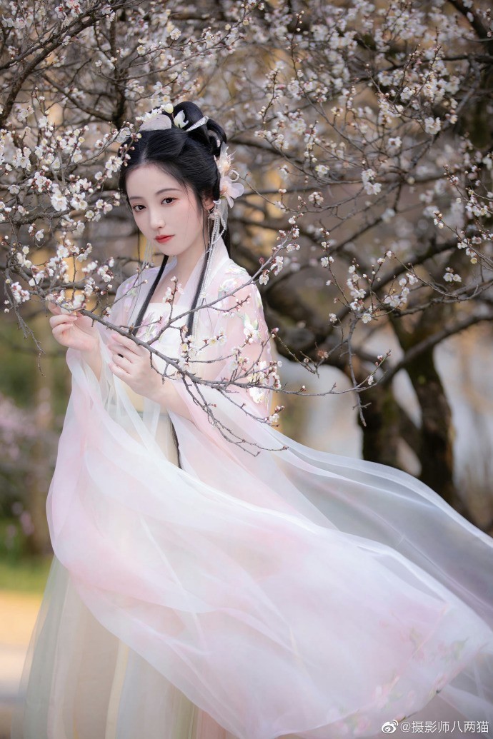 阿甘正传 封面