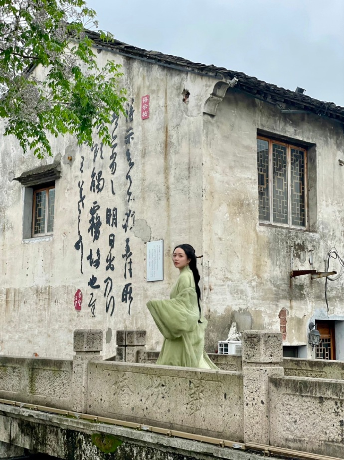 间谍过家家代号：白 封面